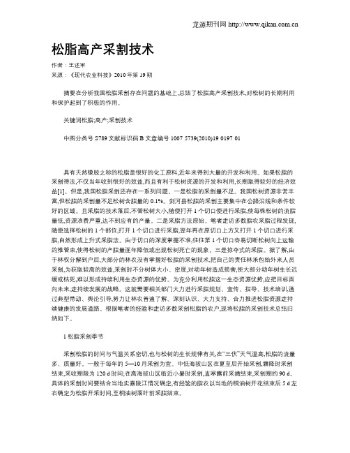 松脂高产采割技术