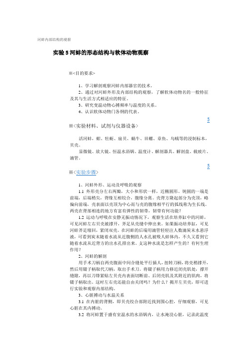 河蚌内部结构的观察