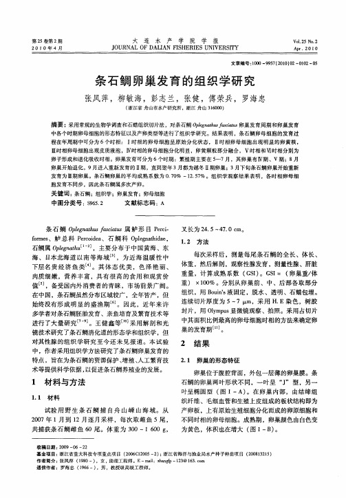 条石鲷卵巢发育的组织学研究