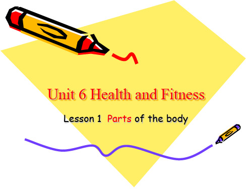 新模式英语U6-L1-Parts-of-the-body