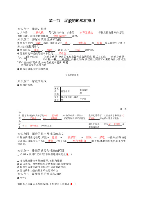 2018济南版生物七年级下册4.1《尿液的形成和排出》word练习题
