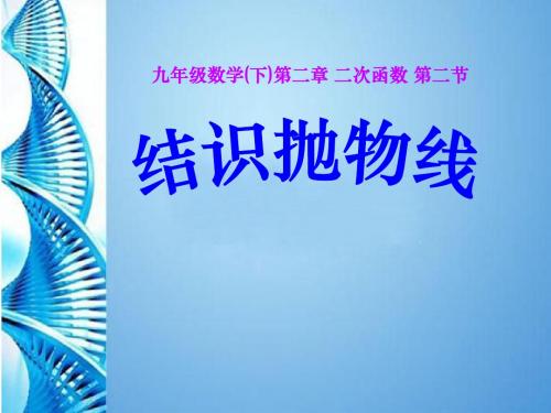 《结识抛物线》二次函数PPT课件(上课用)