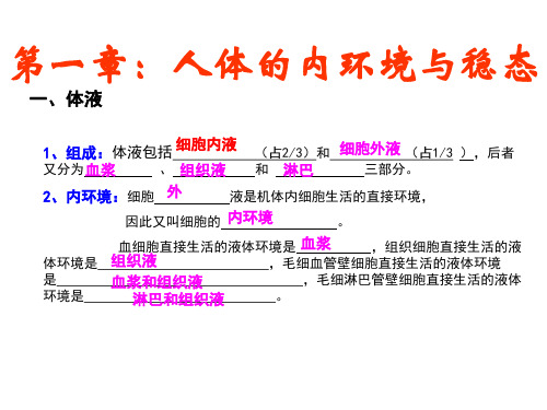 高中生物必修3复习PPT课件