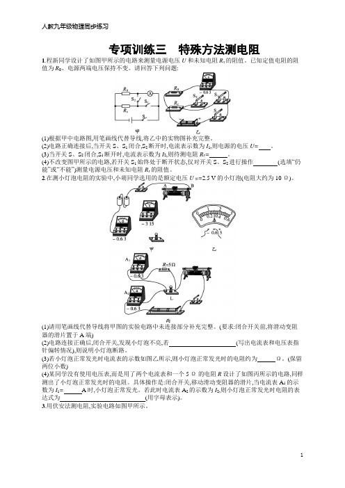 人教九年级物理专项训练3 特殊方法测电阻