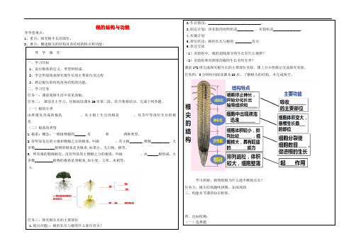 八年级生物上册 第四单元 第一章 第五节 根的结构与功能导学案(无答案)(新版)济南版