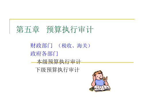 南审政府审计 第5章   预算执行审计
