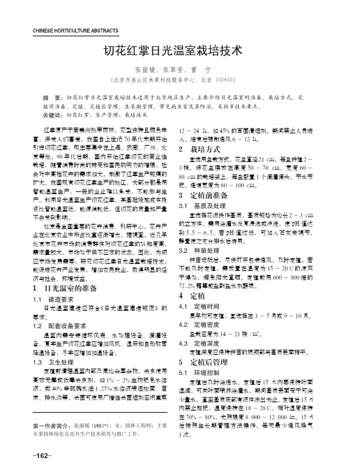 切花红掌日光温室栽培技术