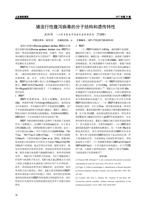 猪流行性腹泻病毒的分子结构和遗传特性