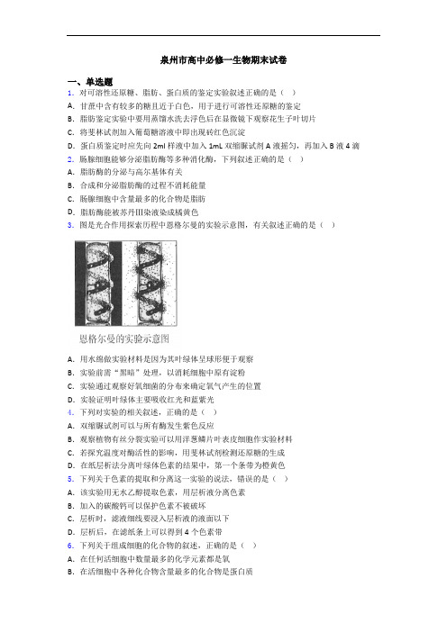 泉州市高中必修一生物期末试卷
