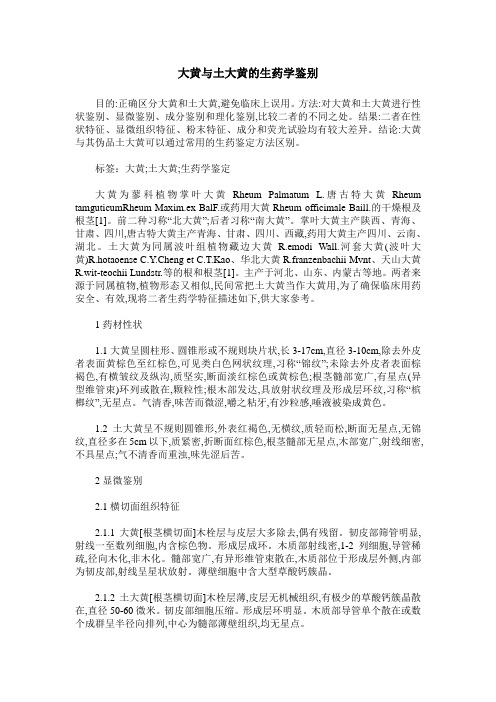 大黄与土大黄的生药学鉴别