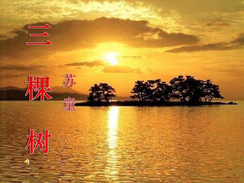 《三棵树》 精品PPT课件(共15张)