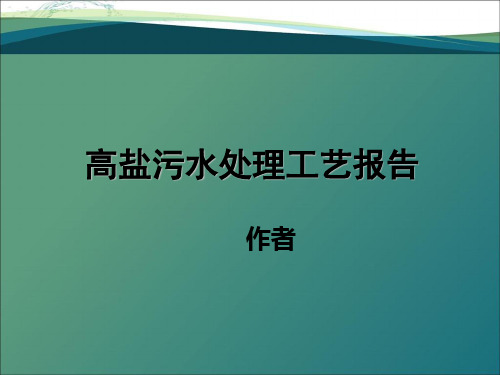 氯碱系统盐水处理工艺及装置