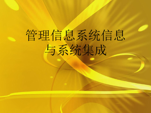 管理信息系统信息与系统集成优秀课件