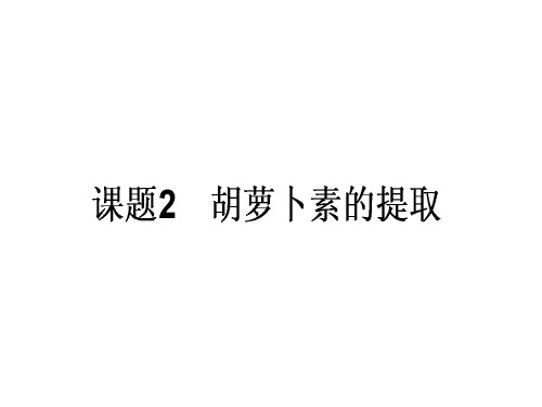 高中生物 6.2 胡萝卜素的提取课件 新人教版选修1