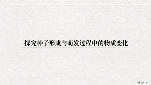 新高考2020生物选考总复习-探究种子形成与萌发过程中的物质变化课件