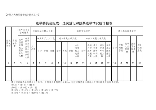乡级人大换届选举统计报表
