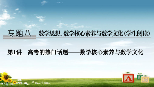 2019届高三数学(理)二轮专题复习课件：专题八第1讲高考的热门话题——数学核心素养与数学文化