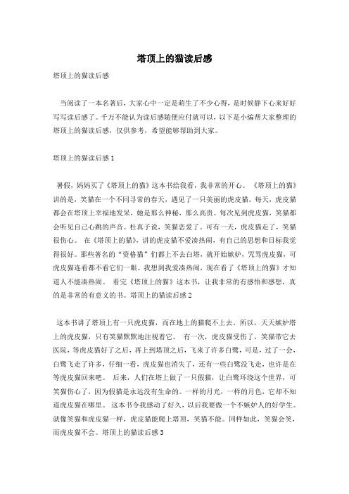 塔顶上的猫读后感