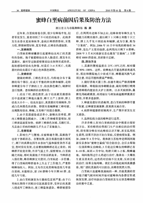 蜜蜂白垩病前因后果及防治方法