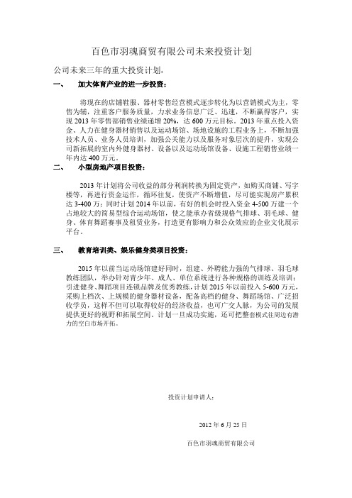 公司未来投资计划