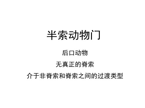 半索动物门