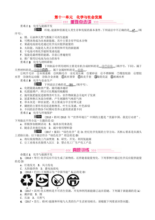 2019年中考化学总复习教材考点梳理第十一单元化学与社会发展练习鲁教