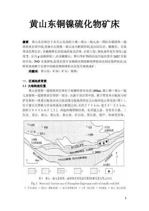 矿床学作业2