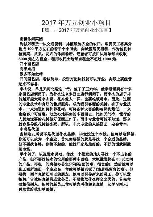 2017年万元创业小项目
