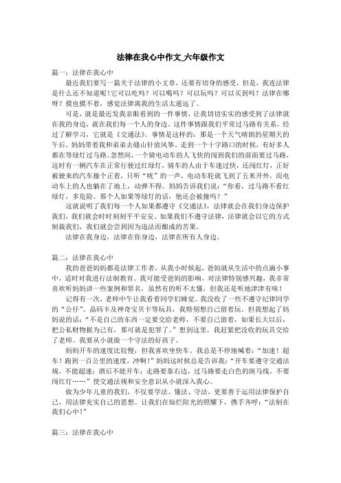 法律在我心中作文_六年级作文