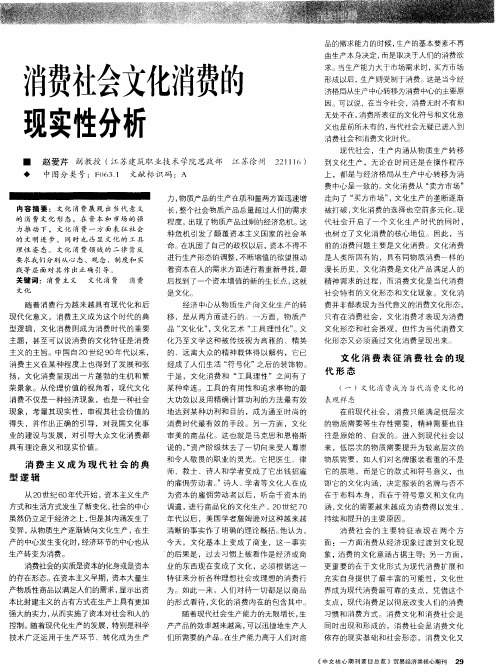 消费社会文化消费的现实性分析