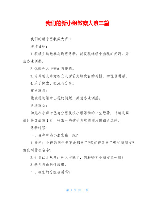 我们的新小组教案大班三篇