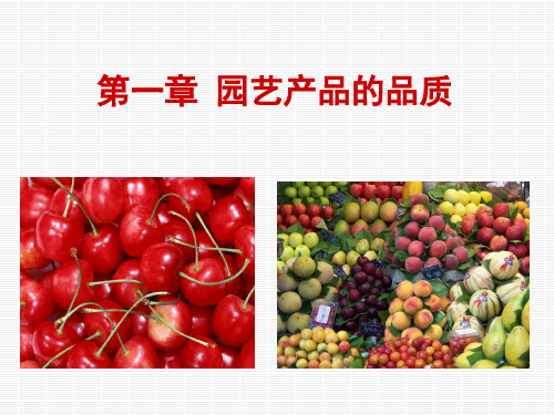 园艺产品的品质概述(PPT 93页)