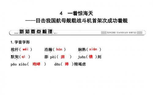人教部编版八年级语文上册一着惊海天