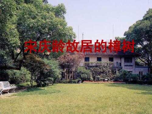 四年级下册《宋庆龄故居的樟树》ppt1