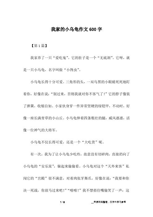 我家的小乌龟作文600字