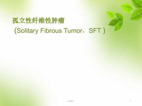 孤立性纤维性肿瘤ppt课件