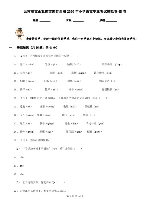 云南省文山壮族苗族自治州2020年小学语文毕业考试模拟卷4D卷