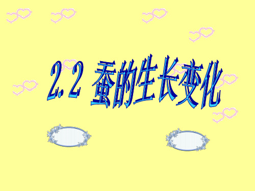 2.2蚕的生长变化