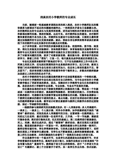 浅谈农村小学教师的专业成长