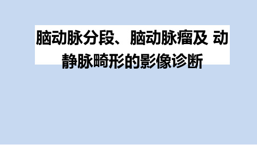 脑动脉分段、动脉瘤、动静脉畸形的影像诊断与鉴别诊断