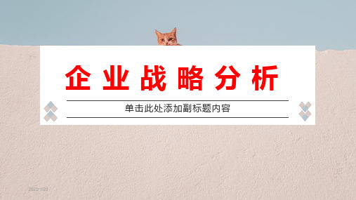 (哔哩哔哩弹幕网)企业战略分析