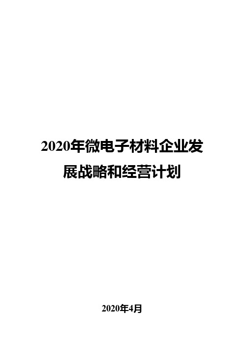 2020年微电子材料企业发展战略和经营计划