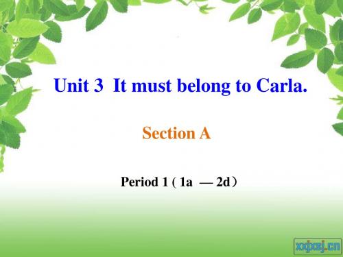 新鲁教版教版九年级Unit3_It_must_belongto_Carla.