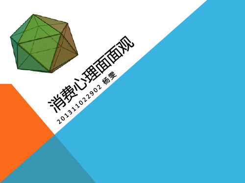 高中政治 必修一 经济生活 消费心理面面观 杨雯