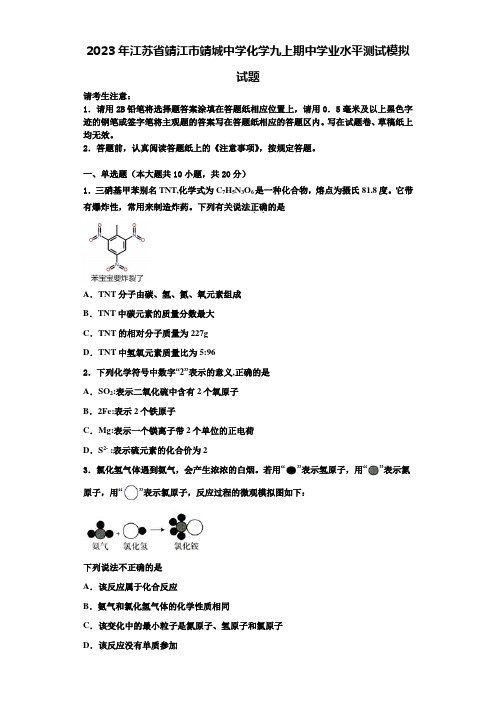 2023年江苏省靖江市靖城中学化学九上期中学业水平测试模拟试题含解析