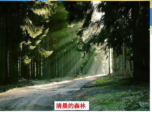 苏教版高中化学必修一1.1.4 物质的分散系 课件 (共19张PPT)