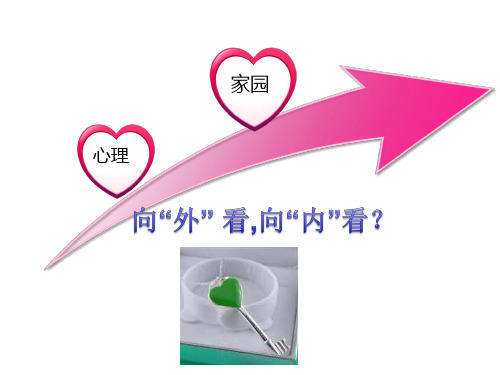 向“外”看,向“内”看