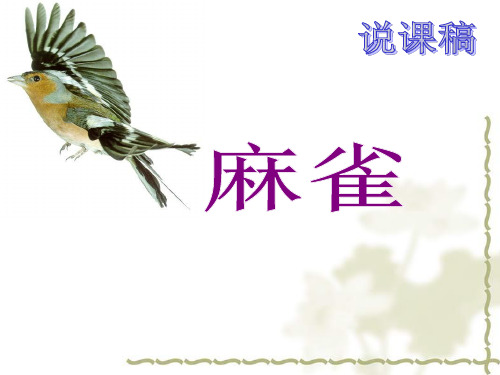 麻雀说课稿 PPT课件