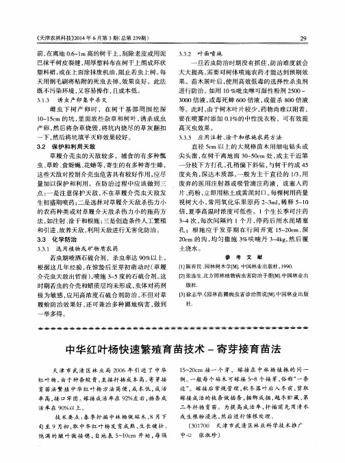 中华红叶杨快速繁殖育苗技术-寄芽接育苗法