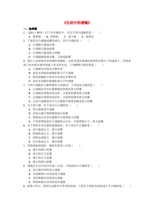 八年级物理上册 5.2 生活中的透镜练习1 (新版)新人教版